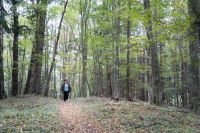 Landschaft Landschaft