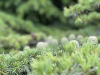 Landschaft Landschaft