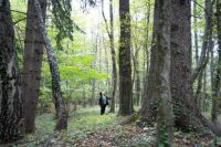 Landschaft Landschaft