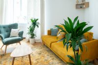 Praxisraum Otto-Bauer-Gasse 1060 Praxisraum Otto-Bauer-Gasse 1060