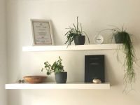 Pflanzen und Diplom Pflanzen und Diplom